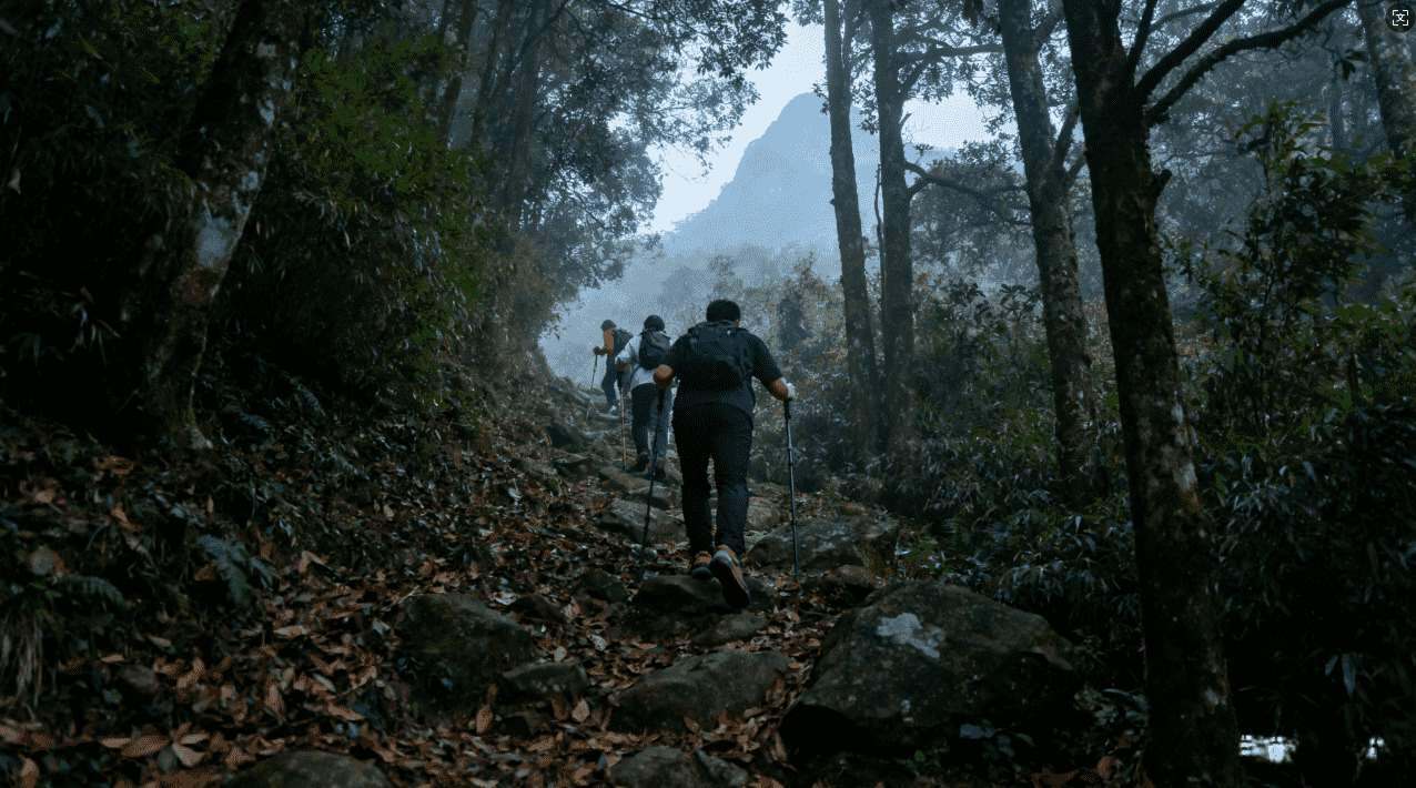 坚果加速器1.2.2版下载及安装指南